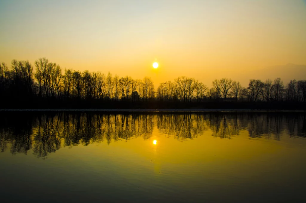 forest or calm water at sunrise